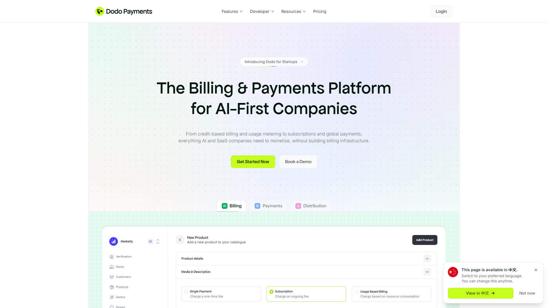 Dodo Payments public website source material